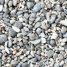 Cichlid Sand